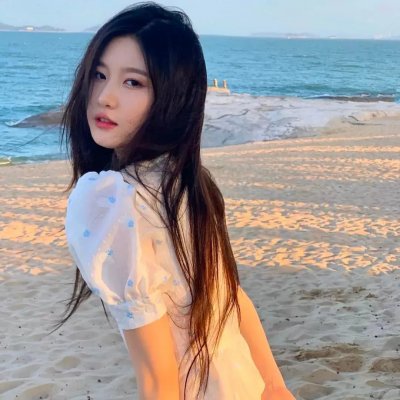 亚西西的圣方济各